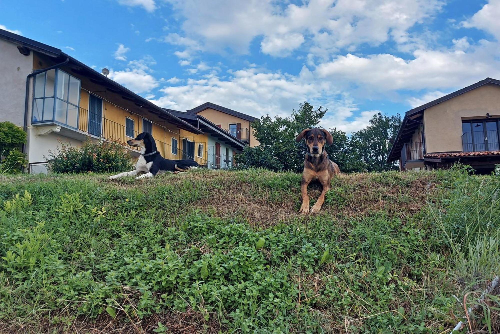 Cascina Nomade - Wine & Scenic Retreat Apartment Dogliani Exterior photo