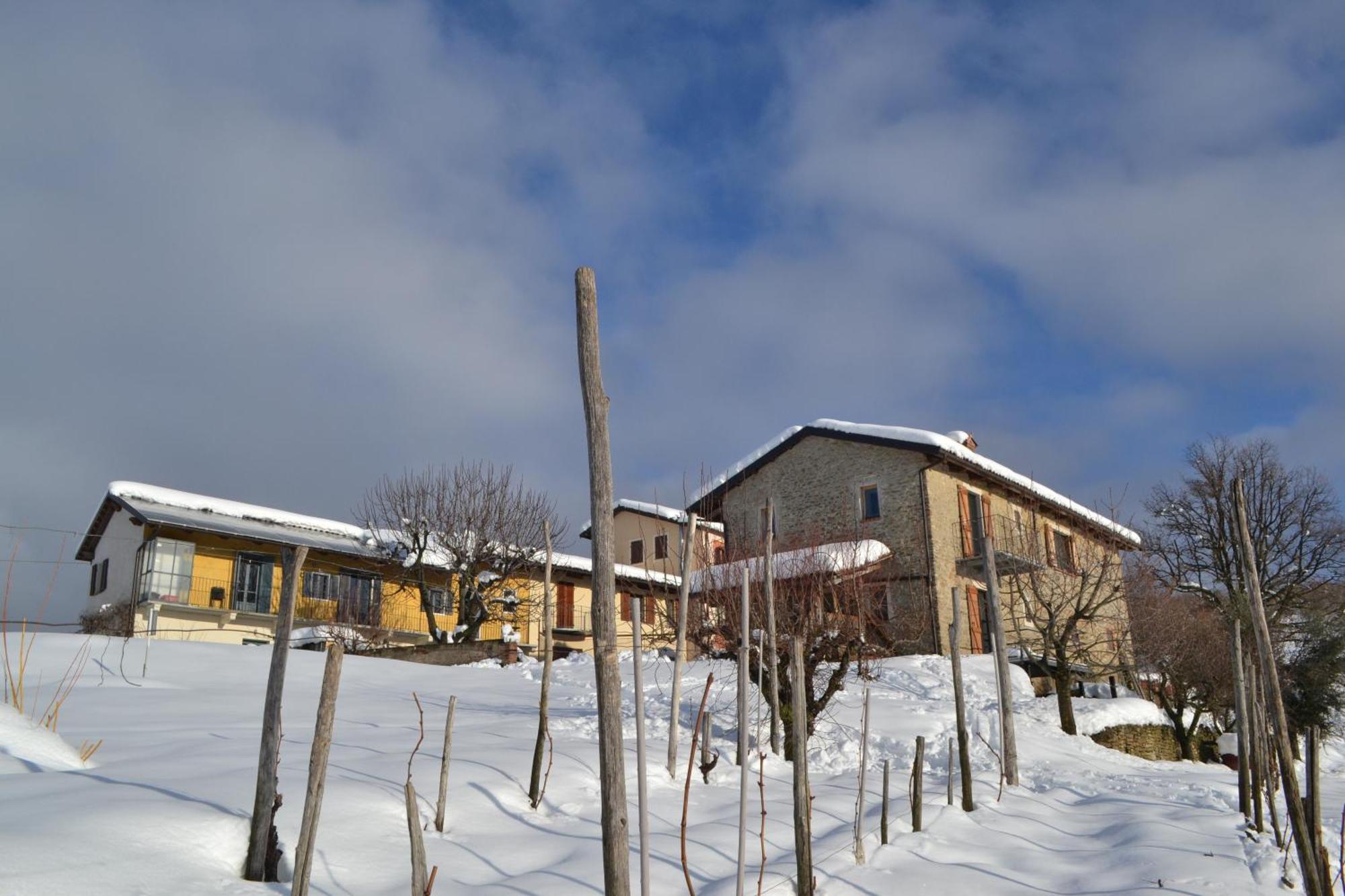 Cascina Nomade - Wine & Scenic Retreat Apartment Dogliani Exterior photo